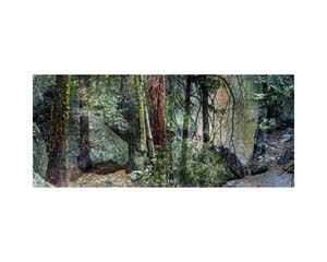 Yosemite Trail California